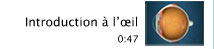 Introduction à l'œil